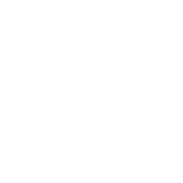 icon-image